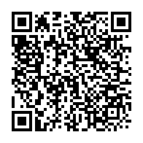 QR_016516